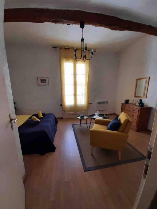 Willa Historic French Townhouse Saint-Thibéry Zewnętrze zdjęcie